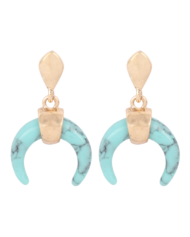 Turquoise Queen Horn Earrings